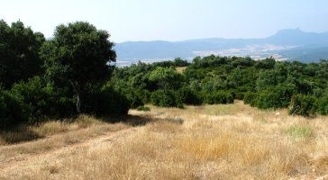 Tontorraren inguruak