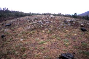 Olaiko Trikuharria 2004-an ateratako diapositiba eskaneatua