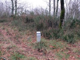 Arkutxa trikuharria 2012.-02-17-an