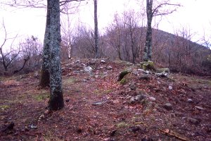 Arkutxa trikuharria 2004.-01-03-an