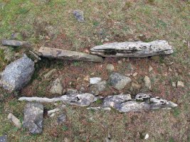 Loatzu II trikuharria