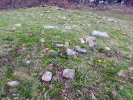 Loatzu I trikuharria