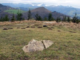 Beldarrain trikuharria