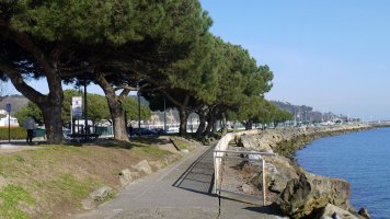 Errioaren bazterreko bidea