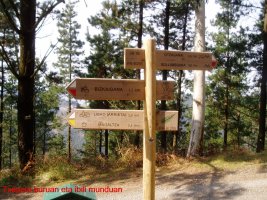 Txapela buruan eta ibili munduan