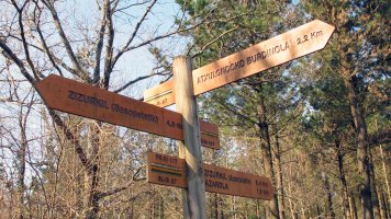 Atxulondoko Burdinola