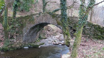 Olaberria burdinolako zubia