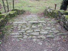 Olaberria burdinolako zubia