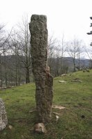 Egiar-Testigo Cromlech nº 3