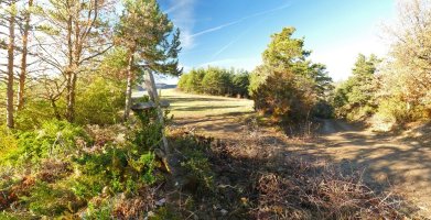 Gurutxeako gurutze zaharra