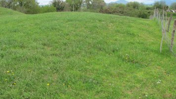 Larrekogurutzea tumulua