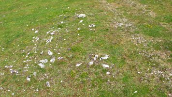 BALTSA BARDOITZA tumulua