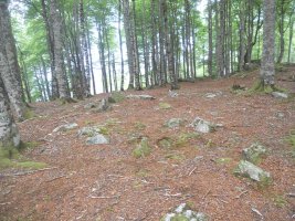 iraztei harrespil berria