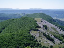 Imelekutik allaitz eta Umandia