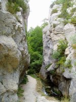 Puron errekaren arroila