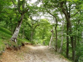 Bovedatik Portillo de la Sierrara igotzen den bidea