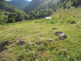 bious oumettes cabane