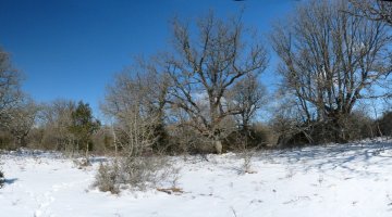 Obiarriko hegoaldeko gailurra, zabalagoa