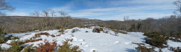 Kurruskarrazko gailurra