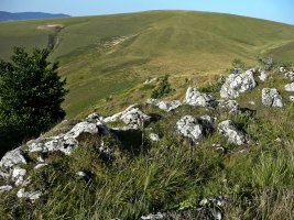 Goñiburu Txikiko Tontorra