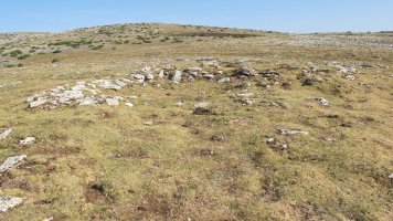 El Brinkulo txabola tumularra, Andia