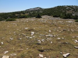 Irunsarioko Bidea 2 ipar, Andia