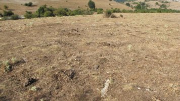 Poken Bidea 1 etxola hondoa, Andia