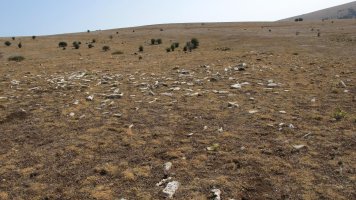 Poken eraztun-tumulua, Andia