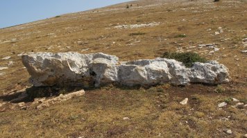 Anuelen zutarria, Andia