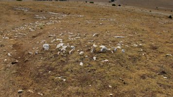 Kalabera 2 mendebalde tumulua, Andia