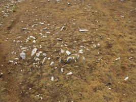 Kalabera 2 mendebalde tumulua, Andia