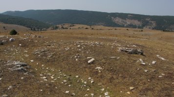 Kalabera eraztun-tumulua, Andia