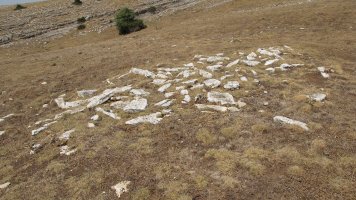 Barranco de Arbeltz tumulua, Andia