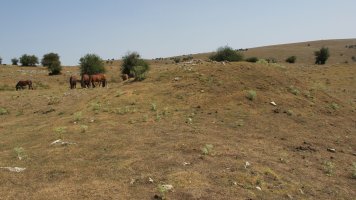 Entremedio txabola tumularra, Andia