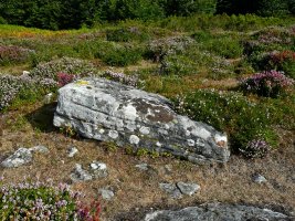 Urkitzako Lepoa. Trikuharria