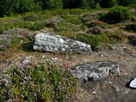 Urkitzako Lepoa. Trikuharria