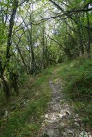 Bidea Saldise eta Ultzurrun artean