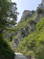 Artazul arroila, ur-jauzirako bidean