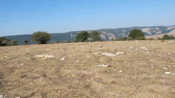 Mirueta 2 eraztun tumulua, Andia