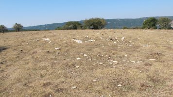 Mirueta 2 eraztun tumulua, Andia