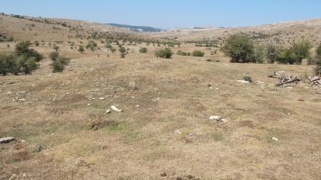 Soosa 1 erdi etxola hondoa, Andia