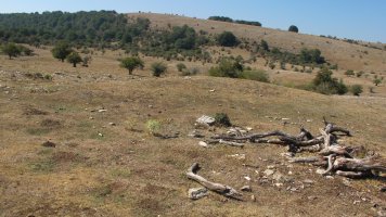 Soosa 1 erdi etxola hondoa, Andia