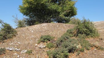 Soosa Ekialde etxola hondoa, Andia