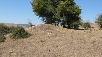 Soosa Ekialde etxola hondoa, Andia