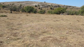 Ixaren 1 ekialde tumulua, Andia