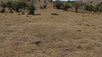 Ixaren 1 ekialde tumulua, Andia