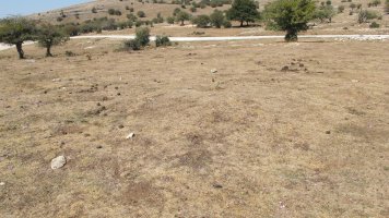 Soosa 1 mendebalde tumulua, Andia