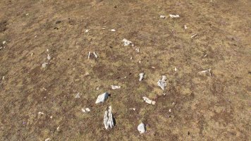 Soosa 2 ekialde tumulua, Andia