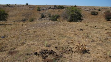 Sosaportillo mendebal etxola hondoa, Andia