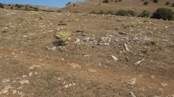 Entremedio 2 mendebalde eraztun tumulua, Andia